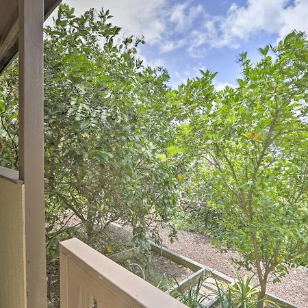 Cozy Honolulu Retreat With Pool Access, Near Beaches Διαμέρισμα Waimanalo Εξωτερικό φωτογραφία